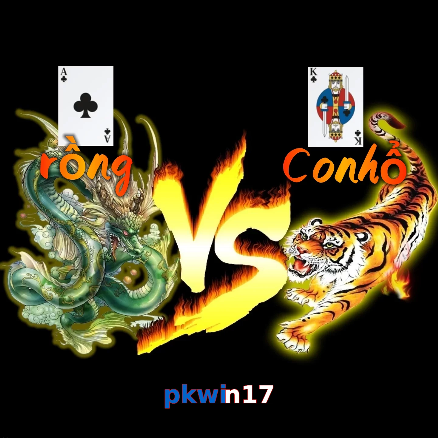 pkwin17